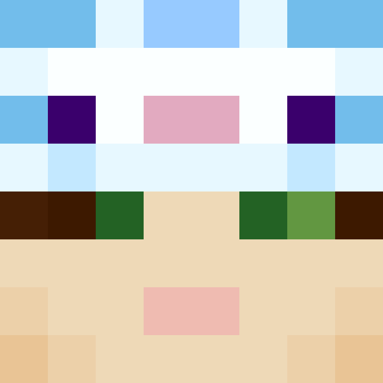 AutoSkin's skin