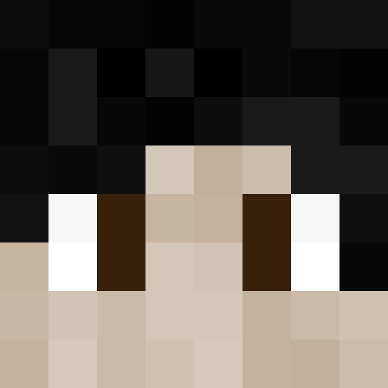 zipdash's skin