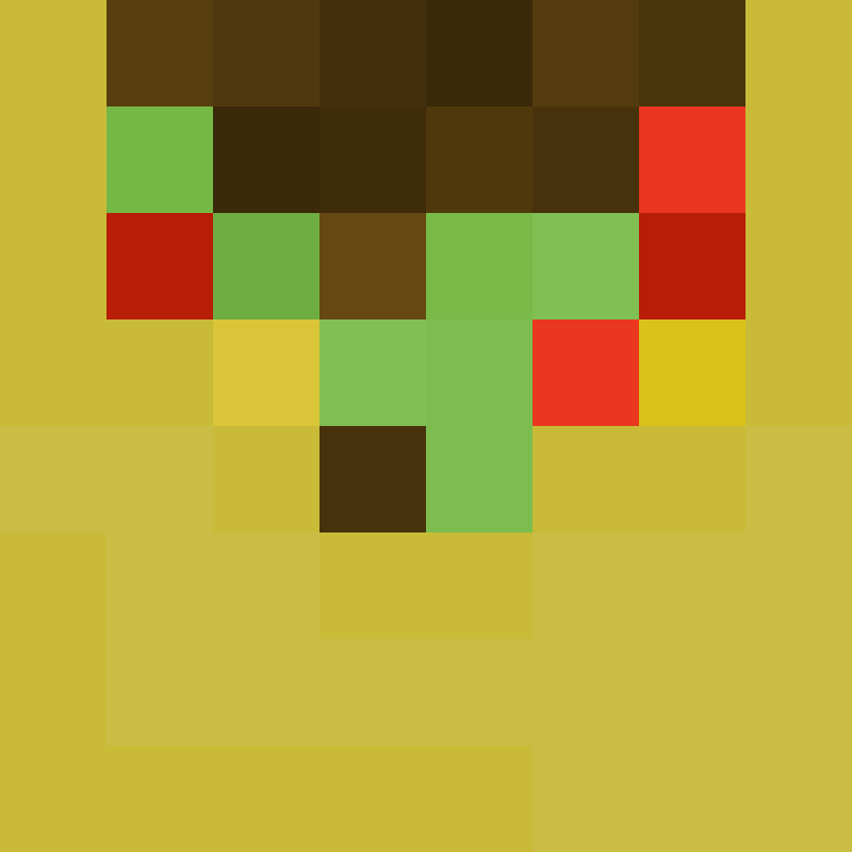 cona666333's skin