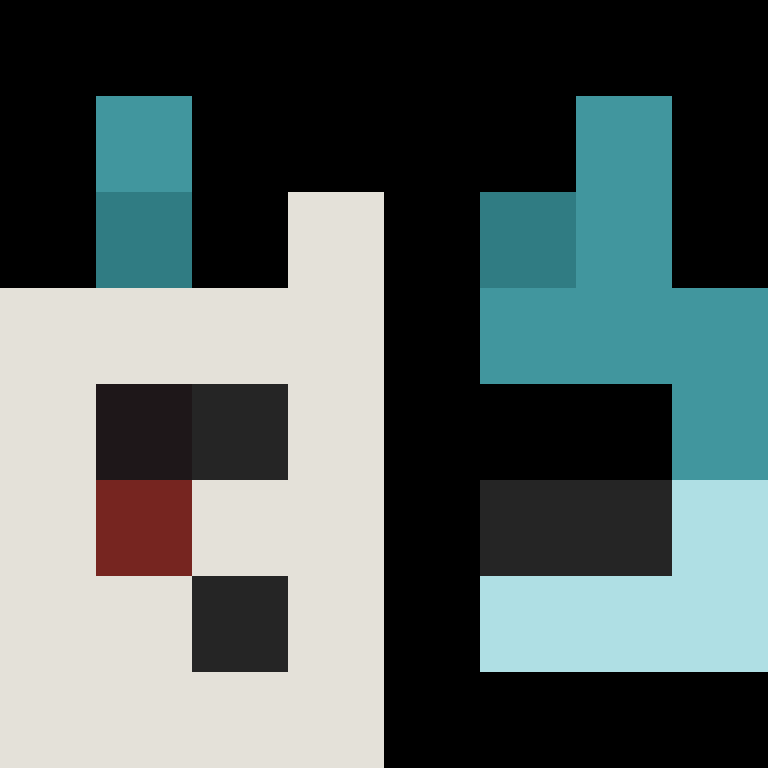 K4MC's skin