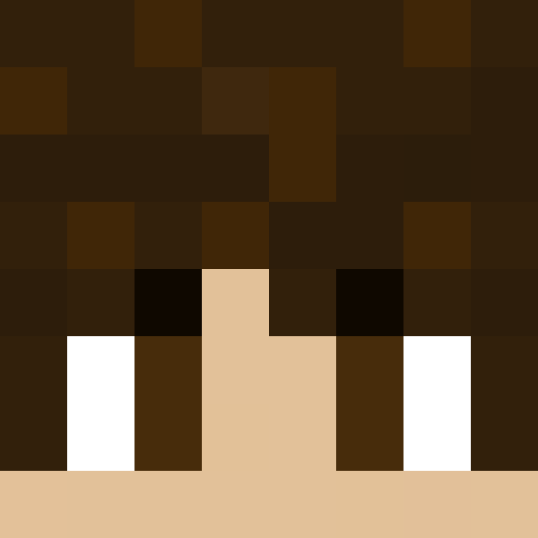 S4NISTR's skin