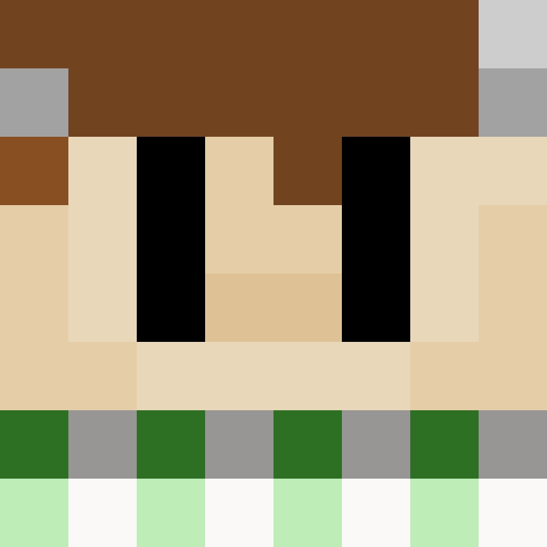 SaltySweatshirt's skin