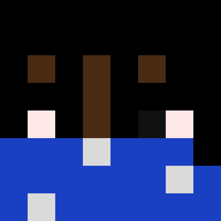 Leeiish's skin