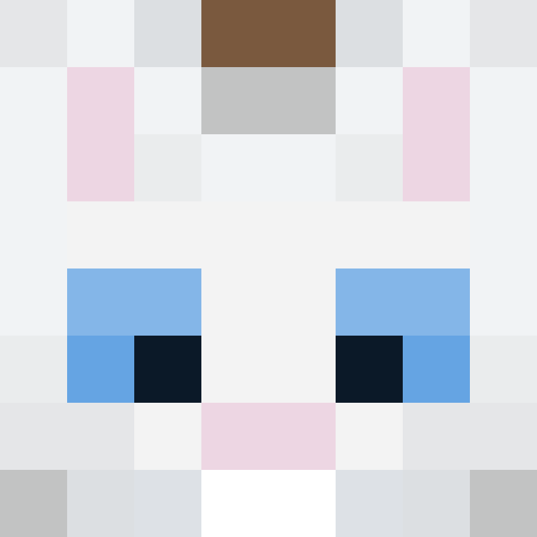 8aca680b22461340's skin