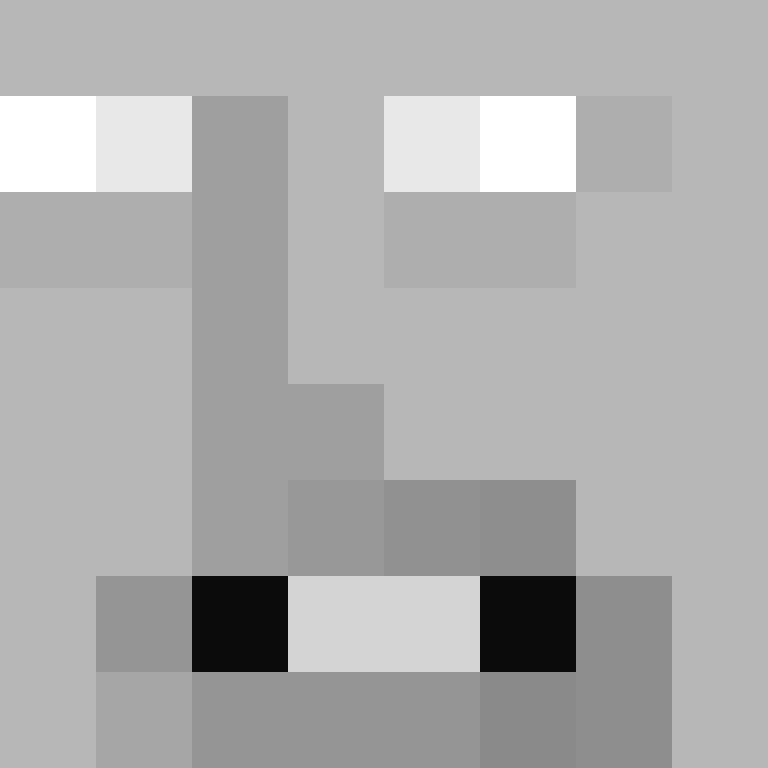 1337bhop's skin