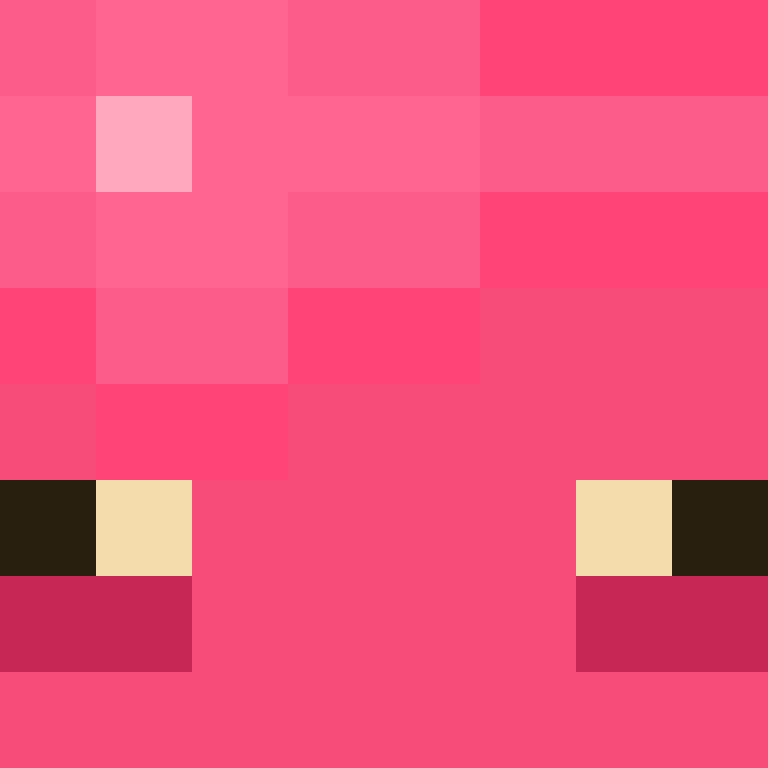 Aidenjiin's skin