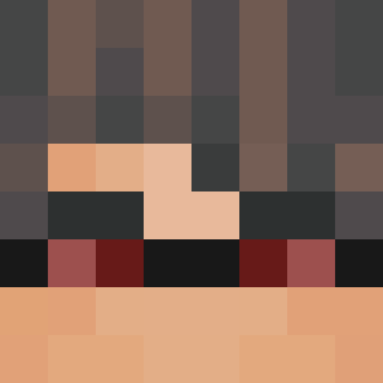 DS33315's skin