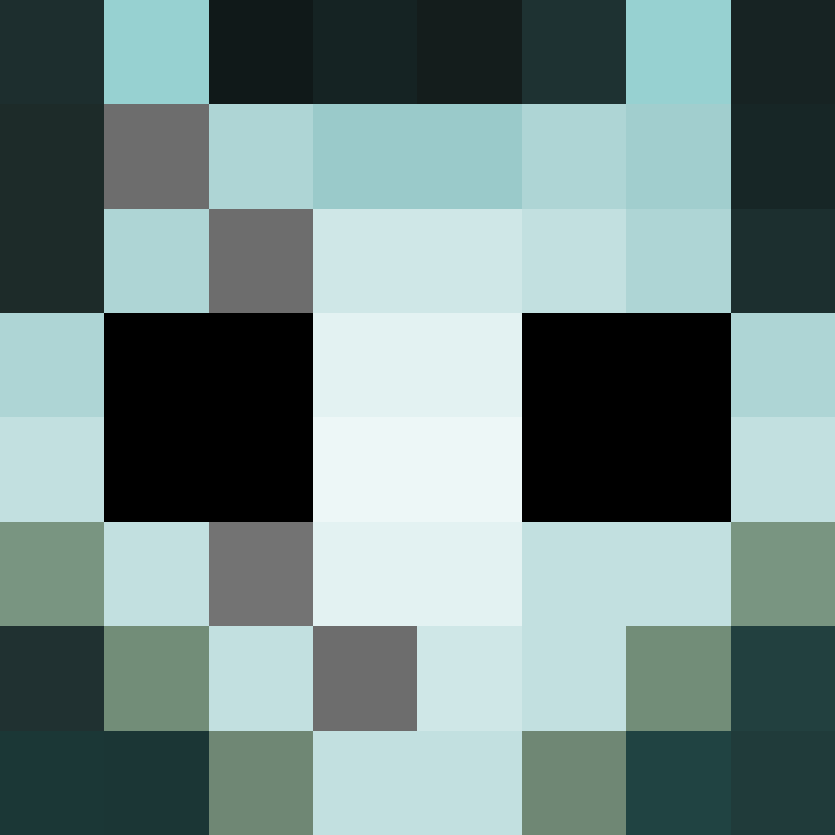 N1M4_XX's skin