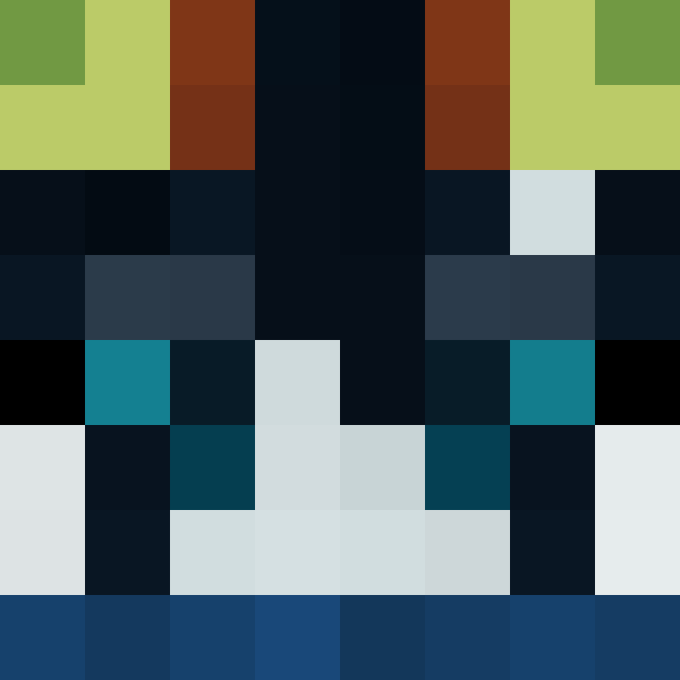 Taeikwondo's skin