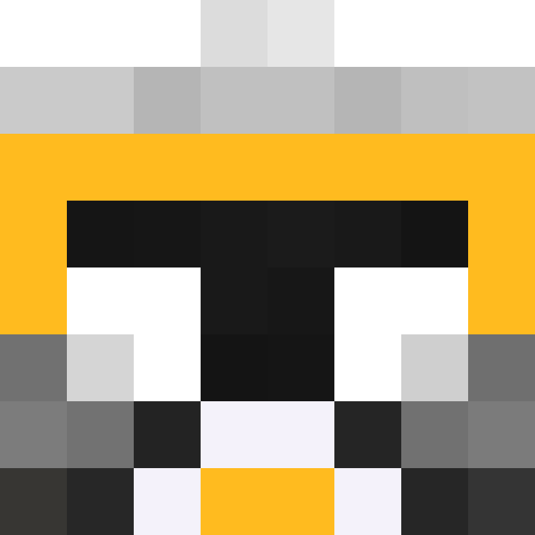 nwasx's skin