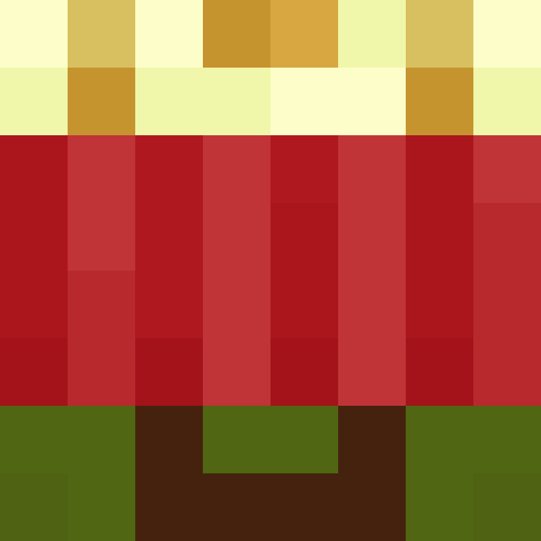 deminecrafterlol's skin