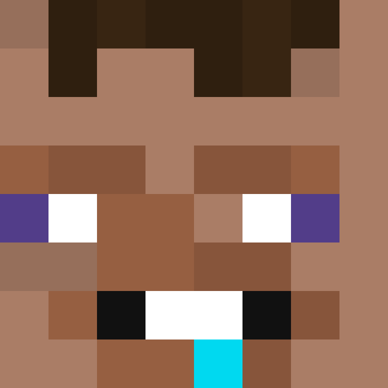NotStiger's skin