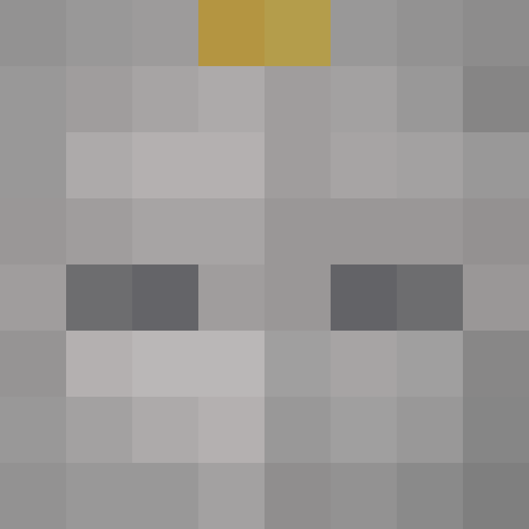 silly_personXx's skin