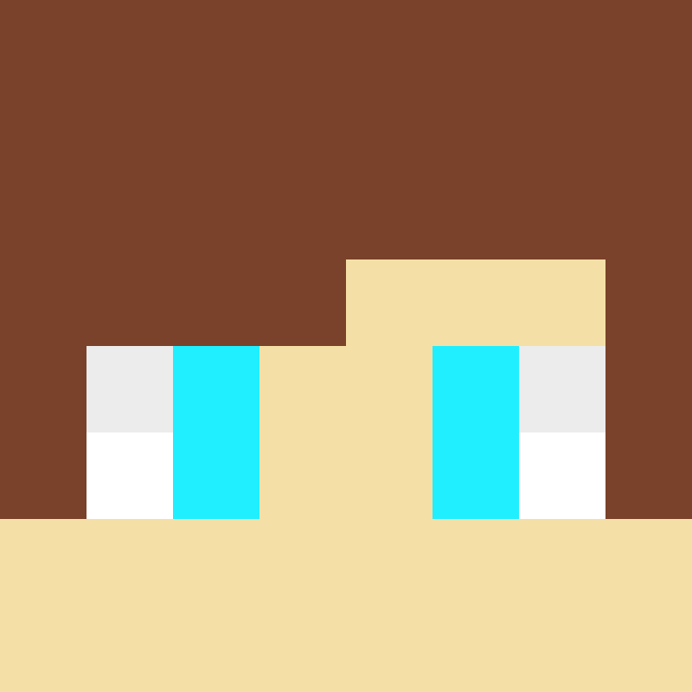 CreeperNE's skin