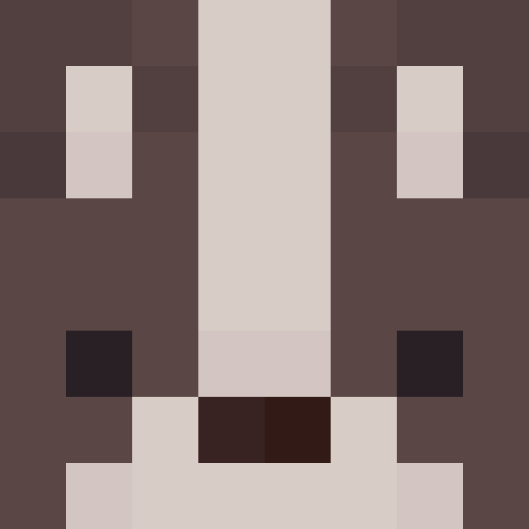 LostPlayer991's skin
