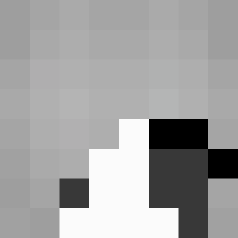 Borelhaguloso's skin
