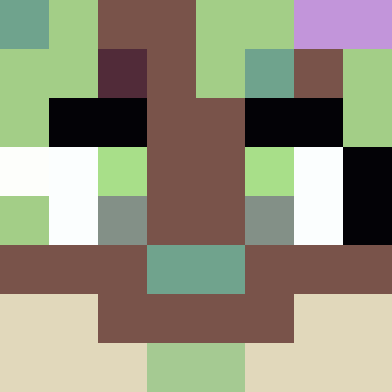 KiwiDrone's skin