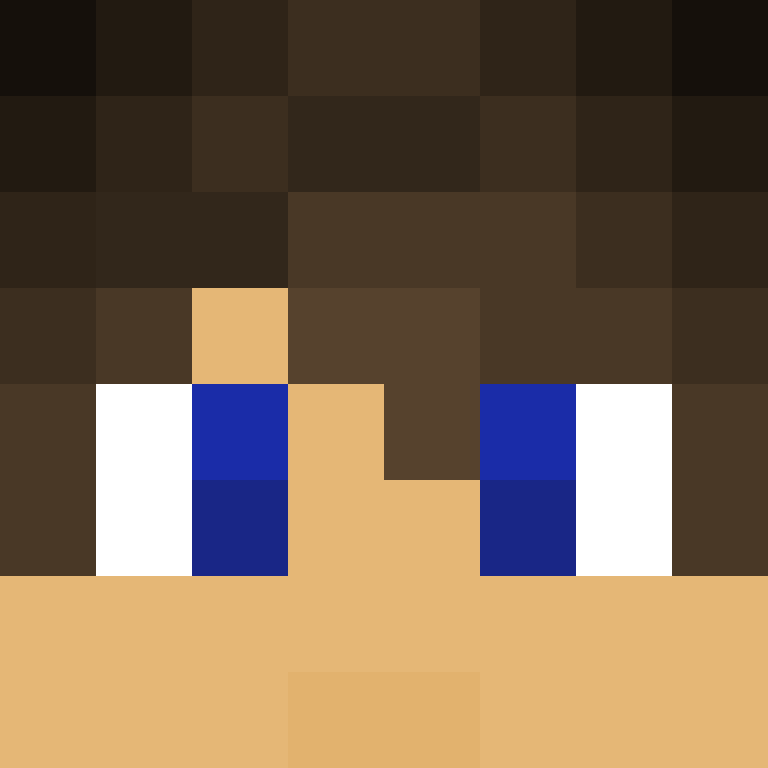 RmPlayzSM's skin