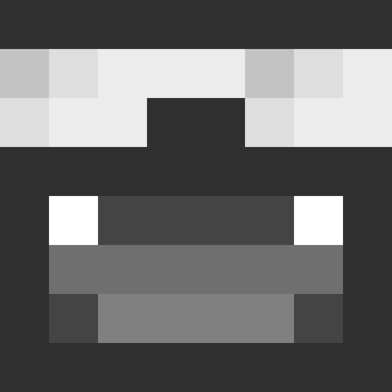 Terreneit0r's skin