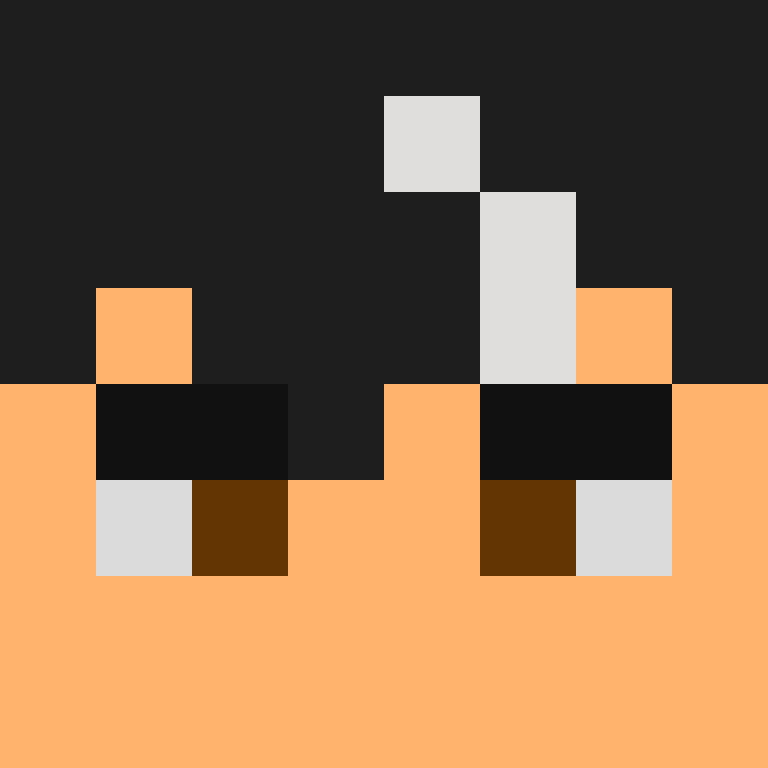ZxN06's skin