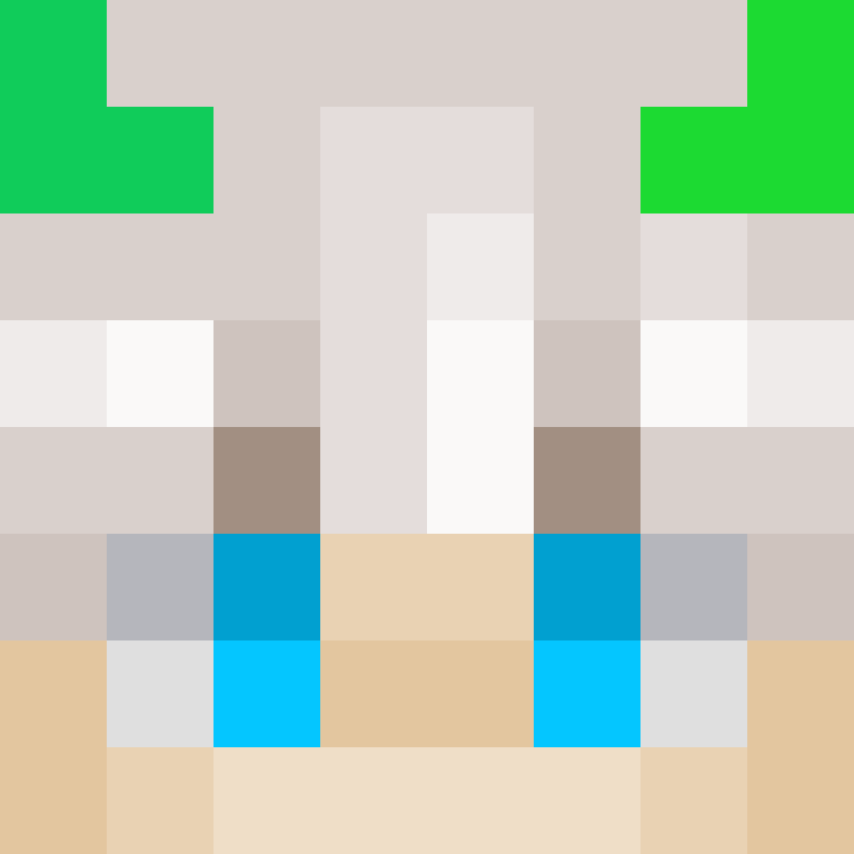 Rakoon71's skin