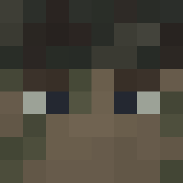 CeilingBird's skin