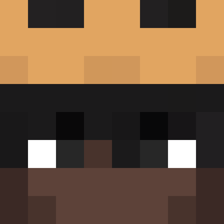 pobearr's skin