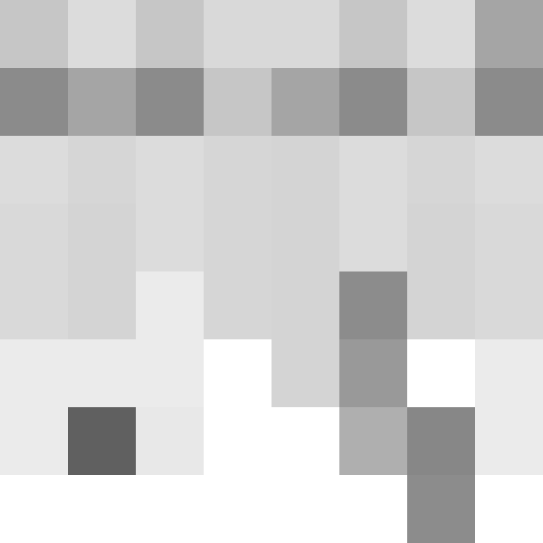Lappschwanz's skin