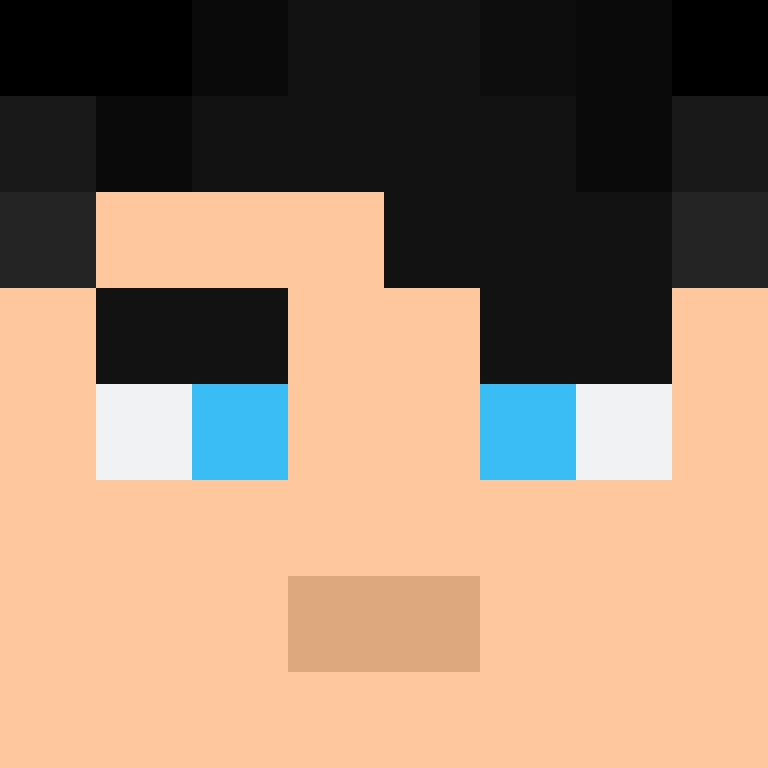 CeilingBird's skin