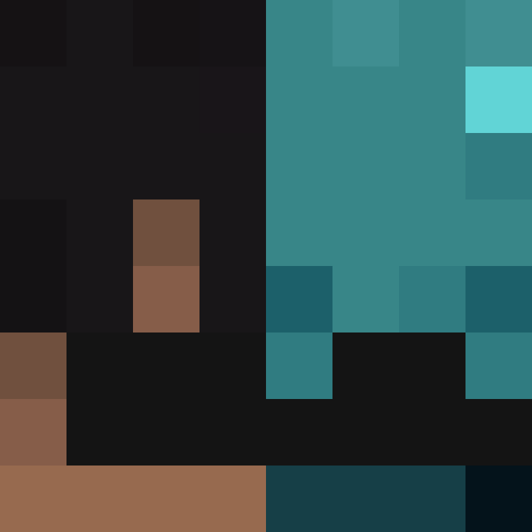 Ledity's skin