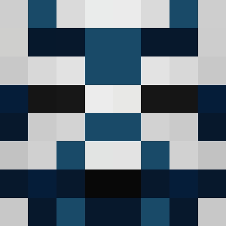 blarqq's skin
