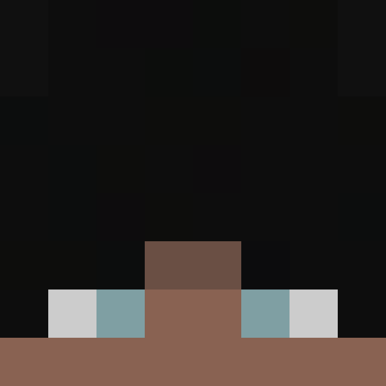 pobearr's skin