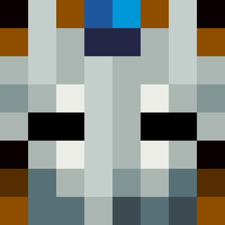 DezzTheSlayer's skin
