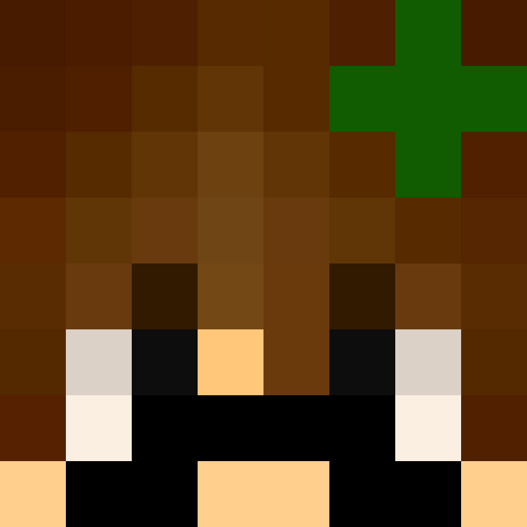 437minecraft's skin