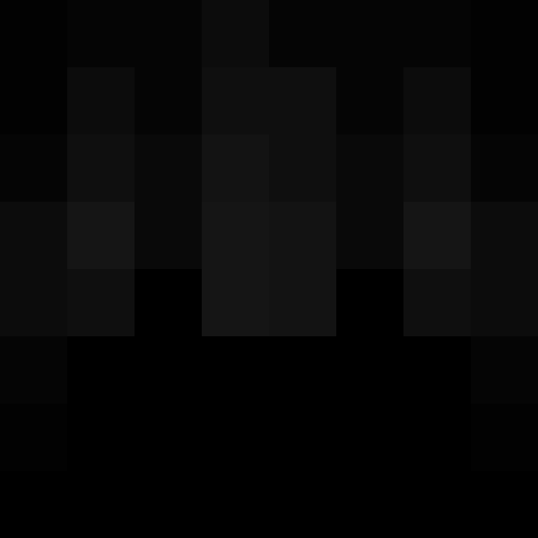 Lappschwanz's skin