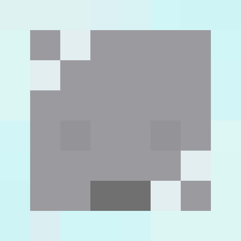 netv1ng's skin