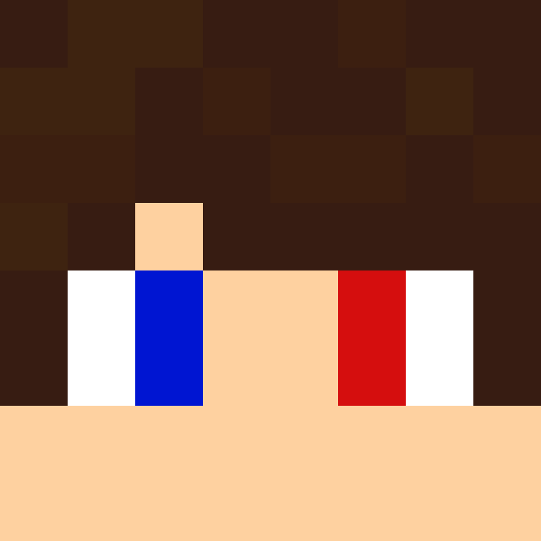 8aca680b22461340's skin