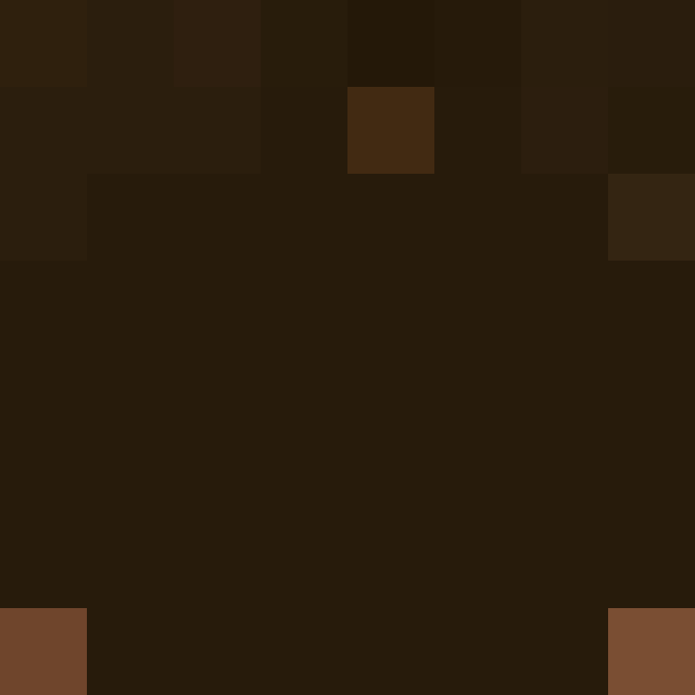 XeninGaming's skin