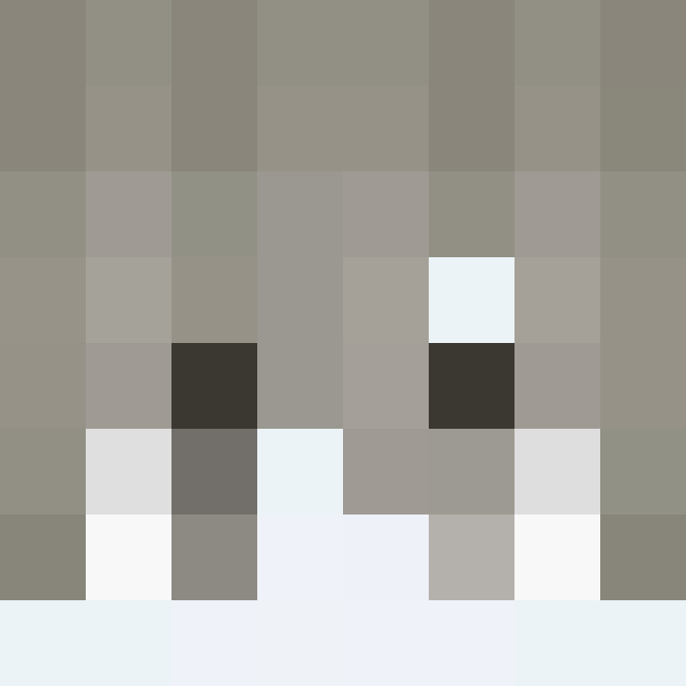 AutoSkin's skin
