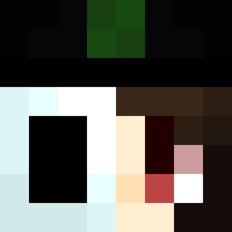 Alone_Traveler's skin