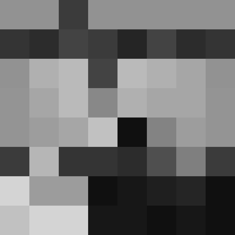 prismauser's skin