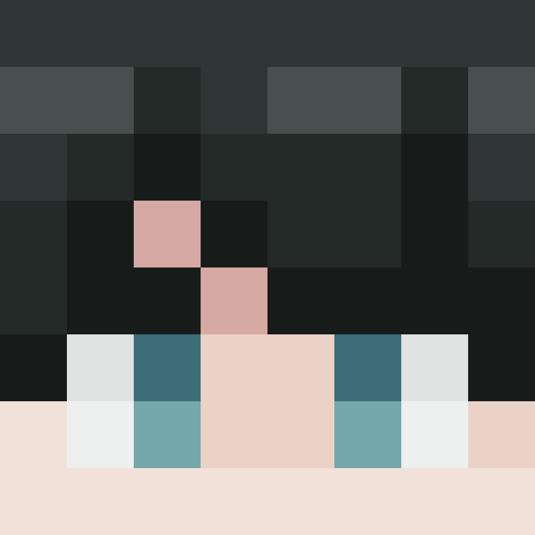 CeilingBird's skin