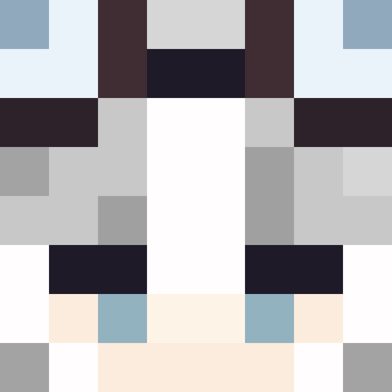 Blnked's skin
