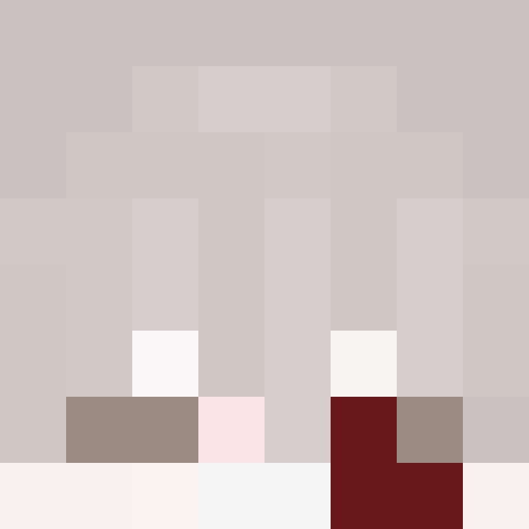 pobearr's skin