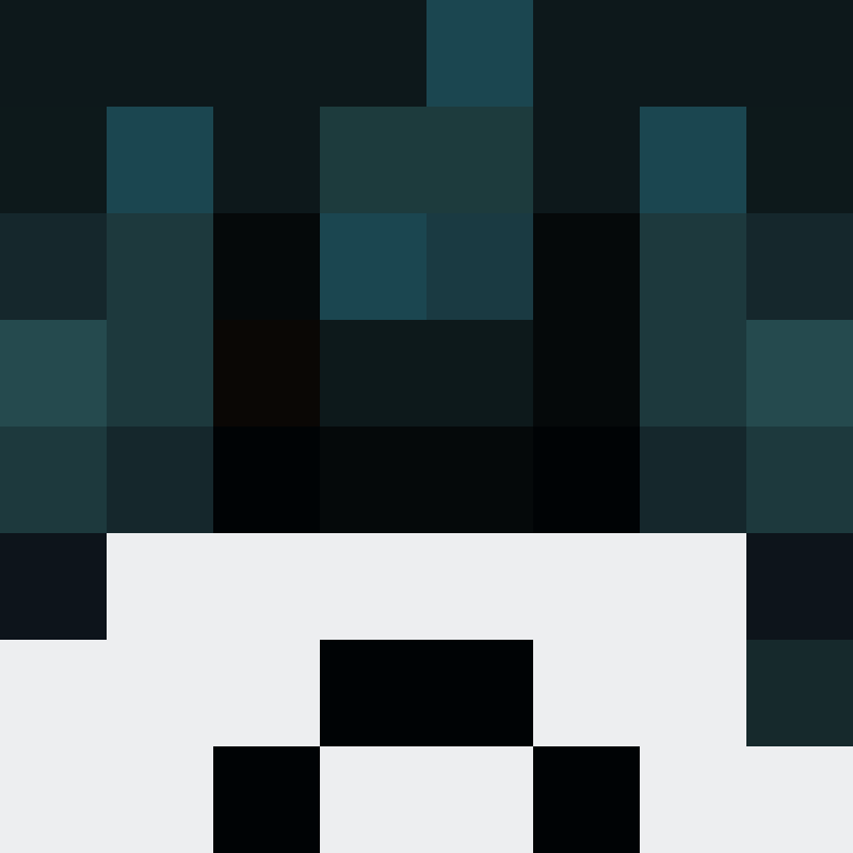 Zenchimaster's skin