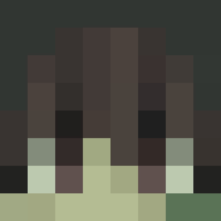 hichroma's skin