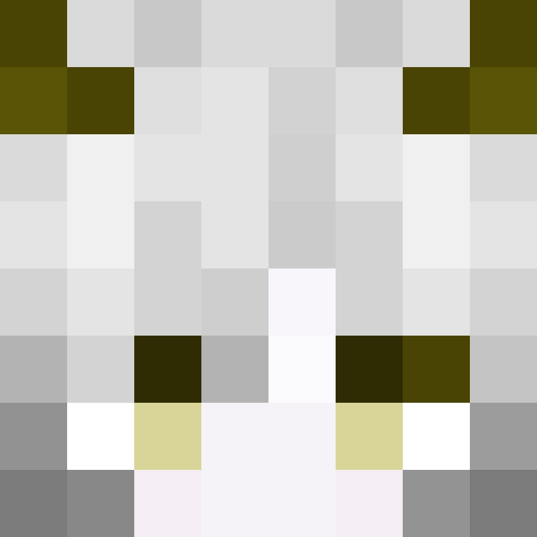 XSoraStarsX's skin