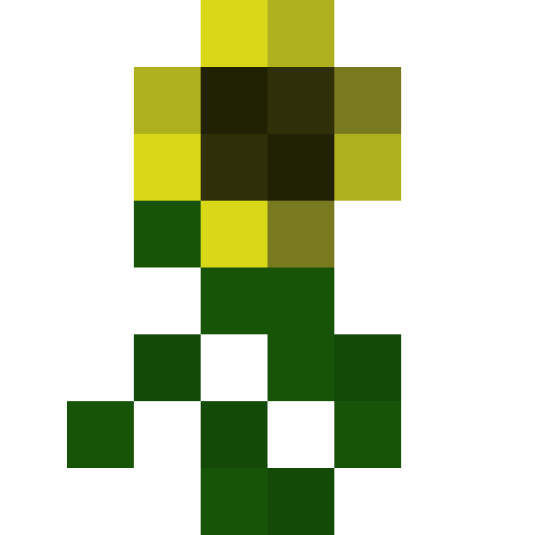 raiki144's skin