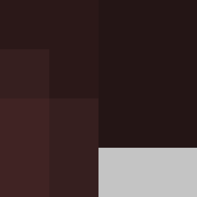 AutoSkin's skin