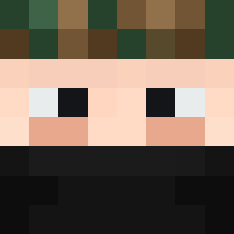 BukkitAPI's skin